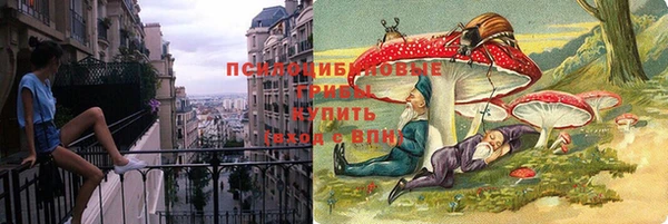 не бодяженный Михайлов