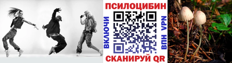 mega зеркало Пойковский Галлюциногенные грибы мицелий купить наркоту